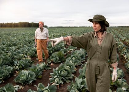 Agriculture in Australia